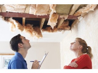 Discover Hidden Issues: Comprehensive Building Pest Inspection in Melbourne