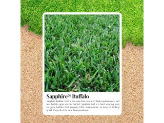 Experience the Luxury of Sapphire Buffalo Grass