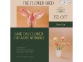 same-day-flower-delivery-werribee-small-0