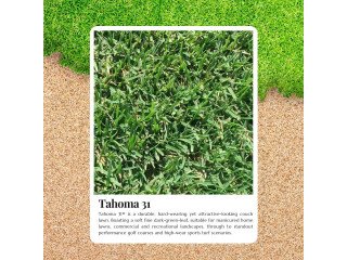 Experience the Difference with Tahoma 31