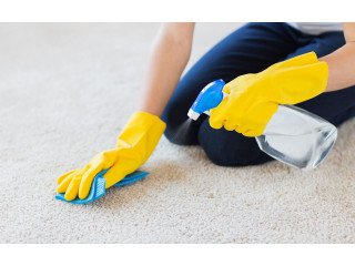 Hire Excellent Carpet Cleaning Service Providers in Perth