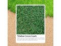 perfect-balance-of-beauty-and-toughness-with-windsor-green-turf-small-0