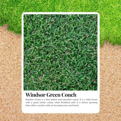 perfect-balance-of-beauty-and-toughness-with-windsor-green-turf-big-0