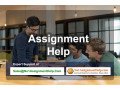 get-assignment-help-services-online-from-no1assignmenthelpcom-small-0