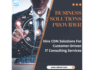 Hire CDN Solutions Team For Expert IT Consulting Service for Your Business