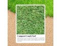 low-water-turf-for-aussie-climates-with-conquest-couch-turf-small-0