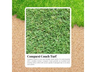 Low-Water Turf for Aussie Climates with Conquest Couch Turf