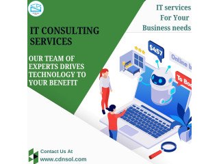 Hire CDN Solutions And Optimize Your Business With IT Consulting Services.