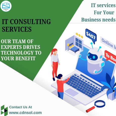 hire-cdn-solutions-and-optimize-your-business-with-it-consulting-services-big-0