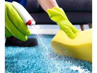 Best Carpet Cleaning Service Providers in Mosman Park