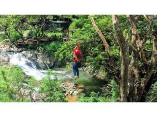 Book Your Zipline Fiji Tour Today - Aqua Tours Fiji