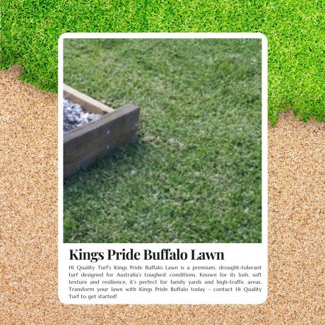 lush-green-yard-year-round-with-kings-pride-buffalo-lawn-big-0