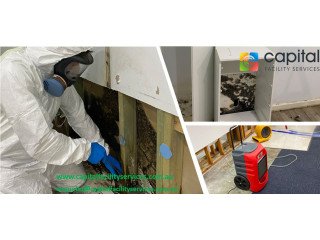 Efficient Mould Removal Services in Melbourne for Your Home