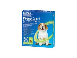 Top Benefits of NexGard Spectra Small Dogs - Petso Store