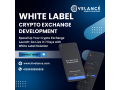 get-your-white-label-cryptoc-exchange-software-at-low-cost-small-0