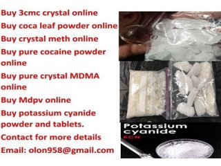 4-aco-dmt online