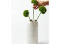 indoor-plants-online-small-0