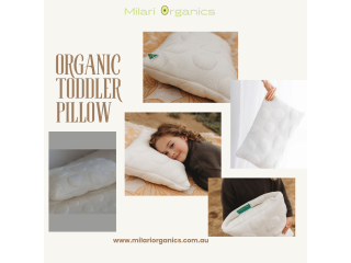 Affordable Toddler Pillow : A Budget-Friendly Options for Every Parents !