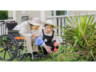 Get Premium NDIS Gardening and Yard Maintenance in Brisbane by Experts