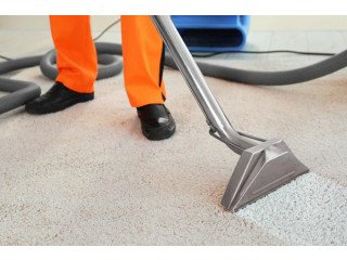 Get Premium Carpet Cleaning Services in Canberra by Skilled Cleaners