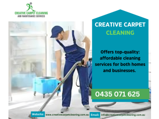 Professional carpet cleaning services