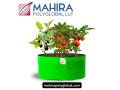 planters-and-planter-bags-the-secret-to-thriving-plant-growth-small-0