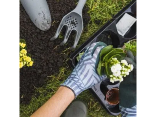 Affordable Landscaping and Garden Maintenance in Wollongong