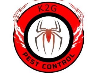 Important And Effective Pest Control Parramatta