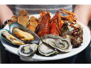 Savour the Freshest Catch: Best Seafood Restaurants in Melbourne