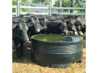 Farm Tough Sheep Water Trough for Aussie Farms