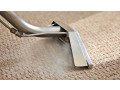 carpet-cleaning-service-in-melbourne-small-0