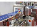 protect-your-brand-with-reliable-food-metal-detectors-small-0