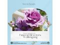 compassionate-funeral-directors-in-wollongong-small-0