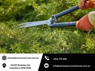 Affordable Landscaping and Garden Maintenance in Wollongong