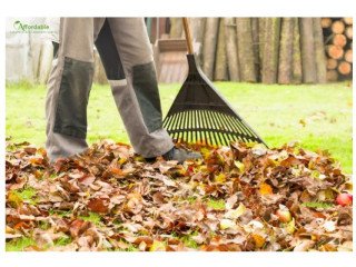Spring Cleaning Parramatta – Freshen Up Your Space Today