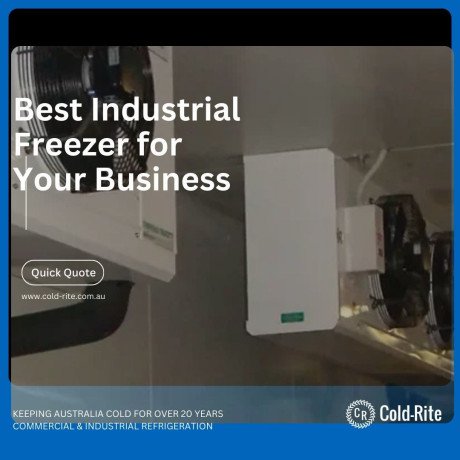 energy-efficient-commercial-freezers-that-cut-costs-in-2025-big-0