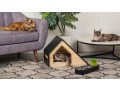 best-cattery-in-melbourne-your-cats-private-kingdom-small-0