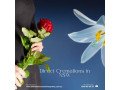 saying-goodbye-with-grace-with-direct-cremation-australia-small-0