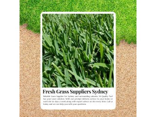 Save Time & Money Best-Value Lawn Supplies Sydney