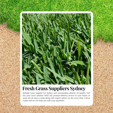 save-time-money-best-value-lawn-supplies-sydney-big-0