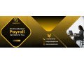 professional-payroll-services-for-your-business-small-0