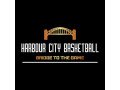 harbour-city-basketball-small-0