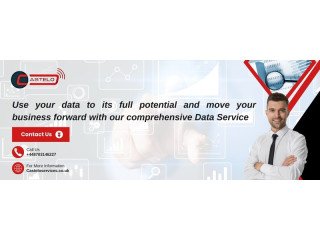 Revolutionize Your Data Management with Castelo Services