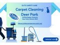carpet-cleaning-deer-park-small-0
