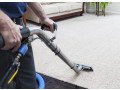 looking-for-the-carpet-cleaning-service-in-narre-warren-small-0