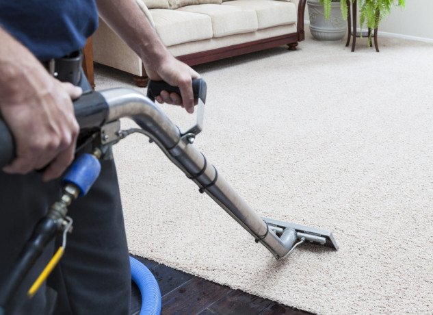 looking-for-the-carpet-cleaning-service-in-narre-warren-big-0