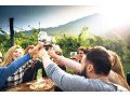 explore-brisbanes-wine-scene-with-nighcruiser-small-0