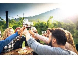 Explore Brisbane’s Wine Scene with Nighcruiser