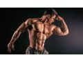 anabolic-steroids-for-sale-small-0
