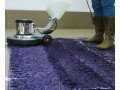 hire-professional-rug-cleaning-service-in-perth-small-0